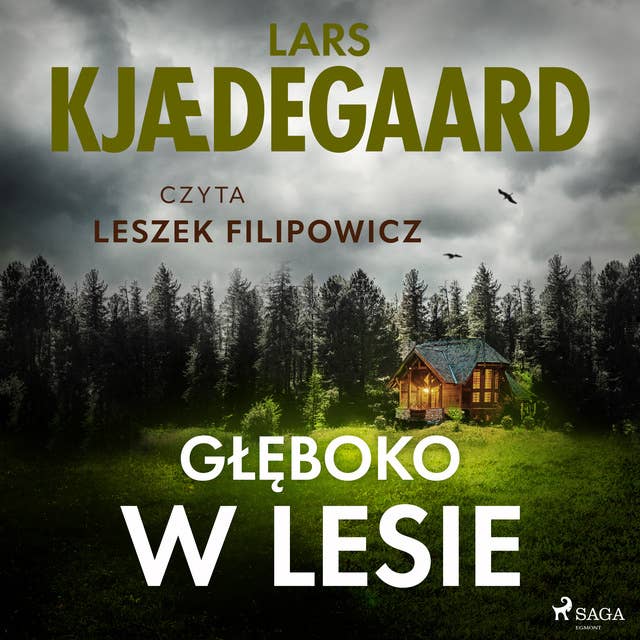 Cover for Głęboko w lesie