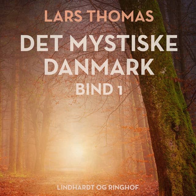Cover for Det mystiske Danmark. Bind 1