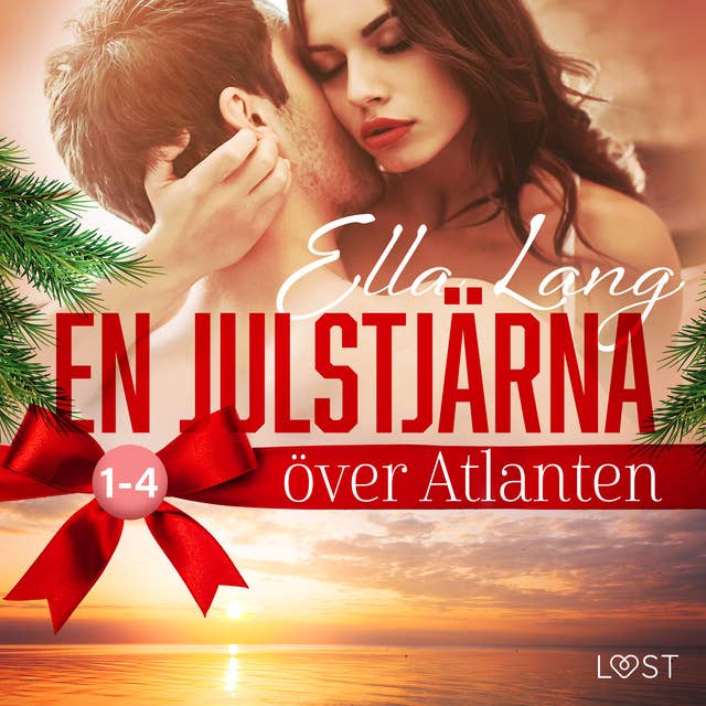 Cover for En julstjärna över Atlanten 1-4: Erotisk adventskalender