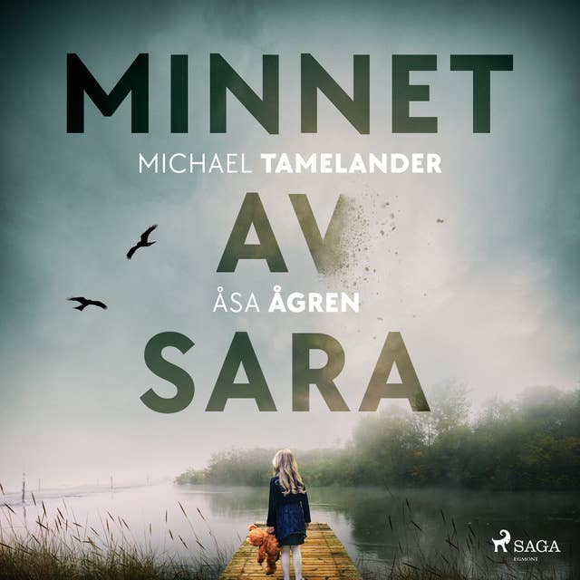 Cover for Minnet av Sara