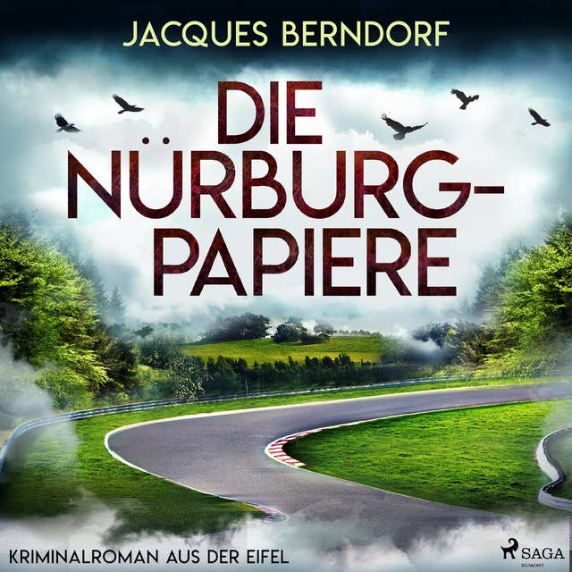Die Nürburg-Papiere (Kriminalroman aus der Eifel): Die Nürburg-Papiere