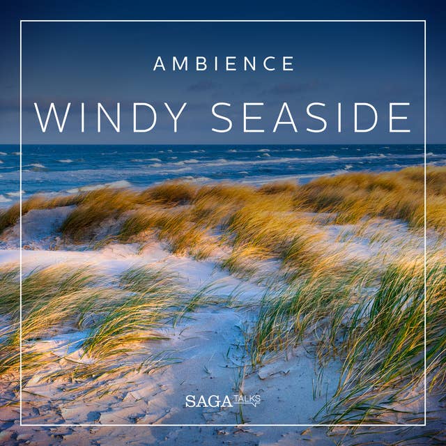 Ambience - Windy seaside