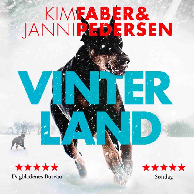 Vinterland by Kim Faber