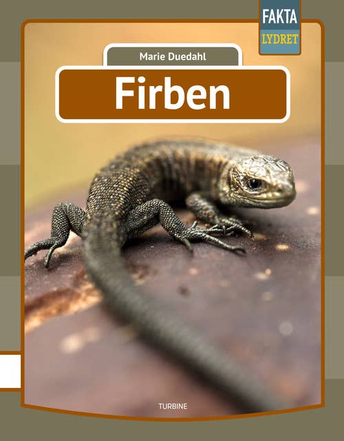 Firben