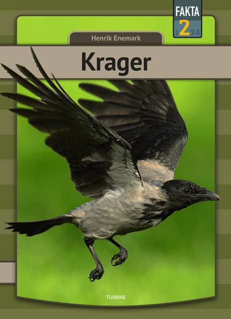 Krager