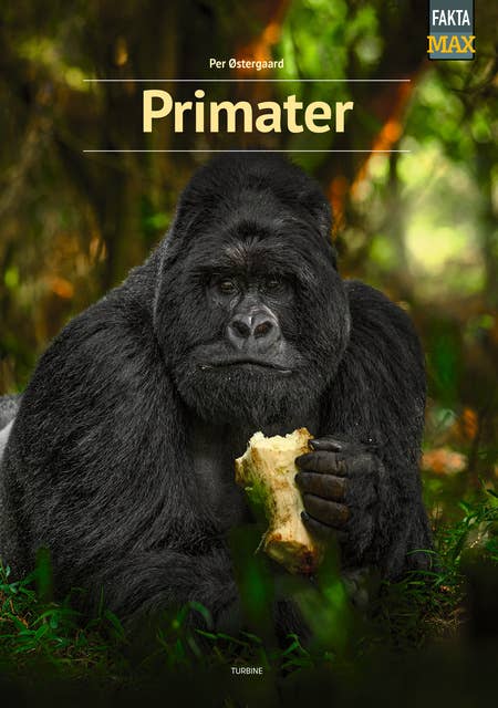 Primater