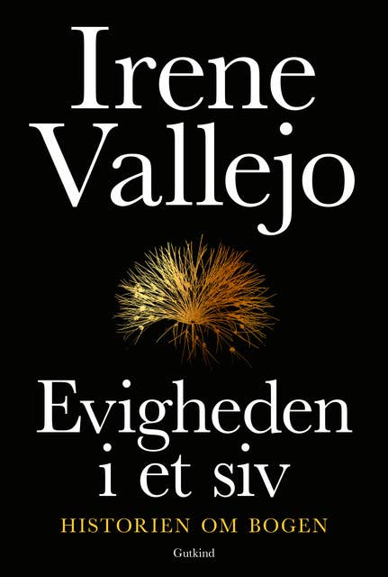 Evigheden i et siv: Historien om bogen