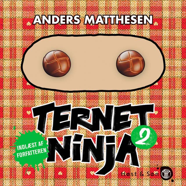 Cover for Ternet Ninja 2