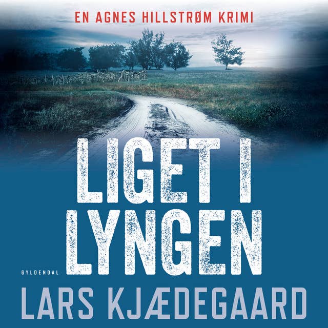 Cover for Liget i lyngen: Agnes Hillstrøm 1