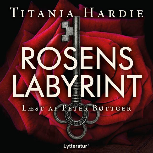 Cover for Rosens labyrint