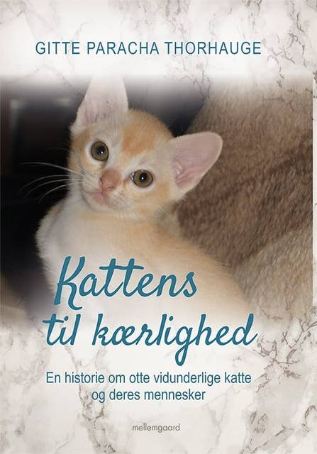 vejviser absolutte Mars Kattens til kærlighed: En historie om otte vidunderlige katte og deres  mennesker - E-bog - Gitte Paracha Thorhauge - Mofibo