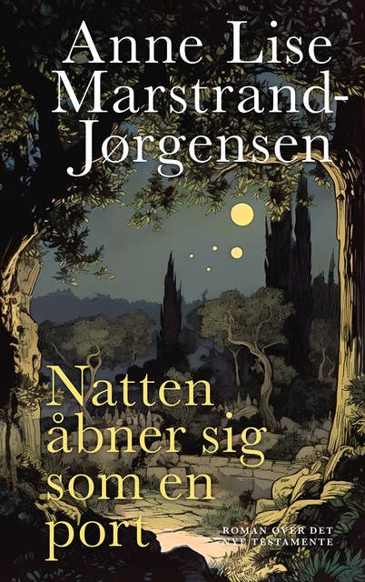 Natten åbner sig som en port: Roman over Det Nye Testamente by Anne Lise Marstrand-Jørgensen