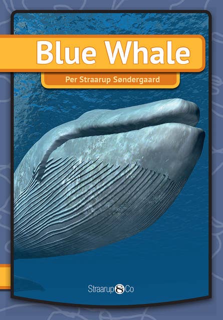 Blue Whale
