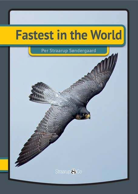 Fastest in the World