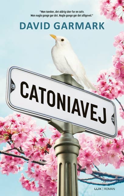 Catoniavej