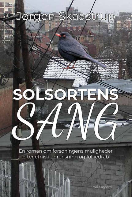 Solsortens sang: En roman om forsoningens muligheder efter etnisk udrensning og folkedrab