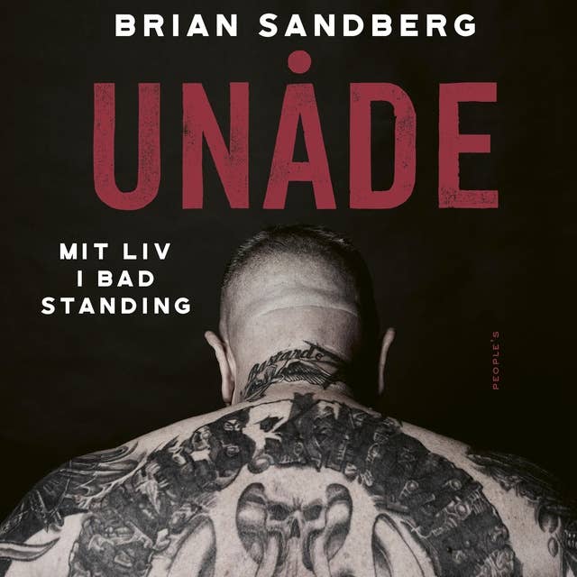 Unåde: Mit liv i bad standing by Brian Sandberg