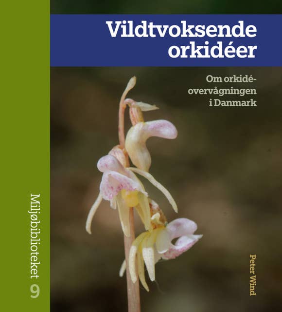 Vildtvoksende orkidéer: Om orkidéovervågningen i Danmark