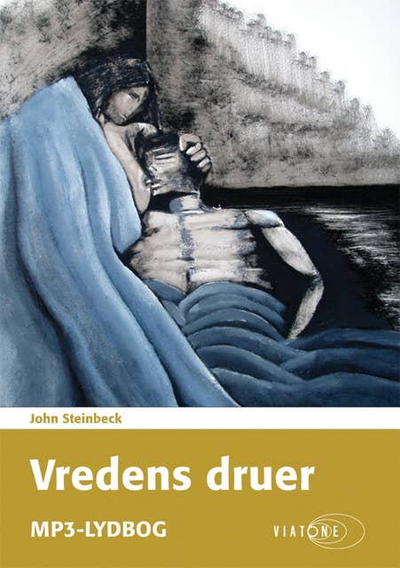 Cover for Vredens druer