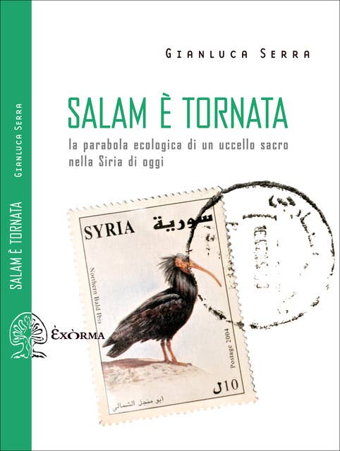 Salam è tornata: La parabola ecologica di un uccello sacro nella Siria di oggi