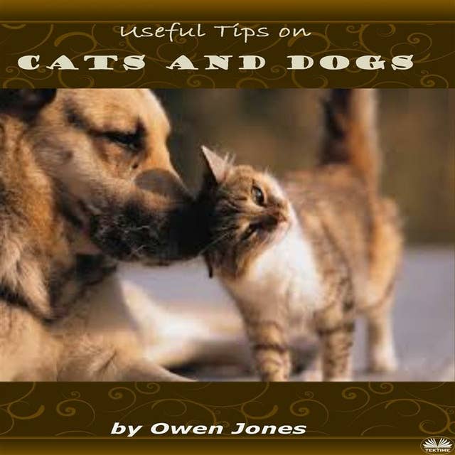 Cats And Dogs: Useful Tips