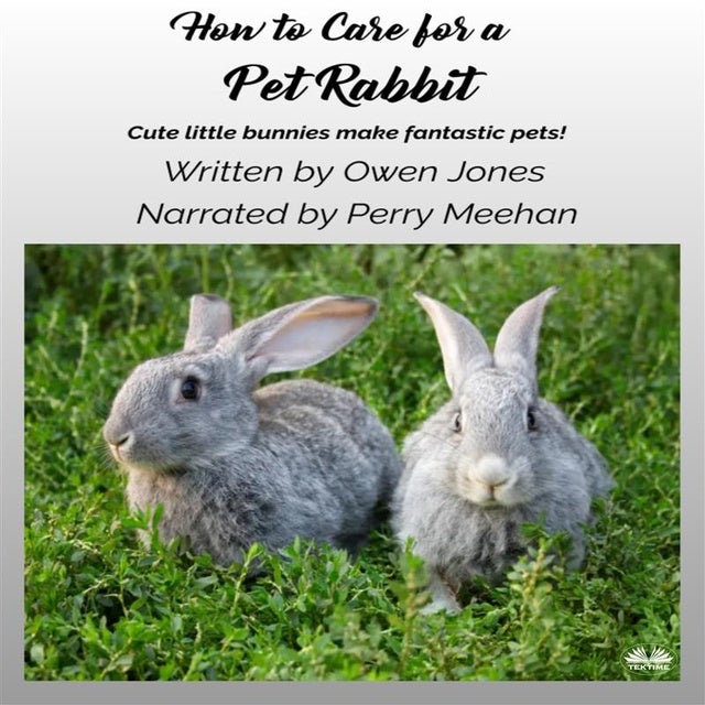 How To Care For A Pet Rabbit Cute Little Bunnies Make Fantastic Pets