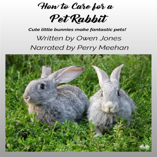 How To Care For A Pet Rabbit: Cute Little Bunnies Make Fantastic Pets!