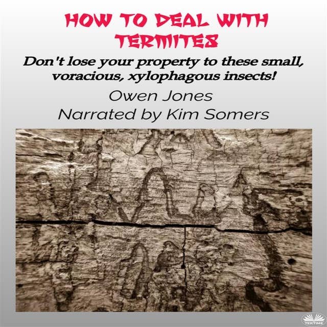 How To Deal With Termites: Don'T Lose Your Property To These Small, Voracious, Xylophagous Insects!