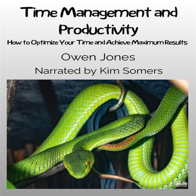Time Management And Productivity: How To Optimise Your Time And Achieve Maximum Results!
