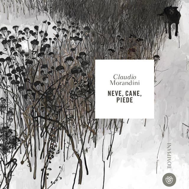 Cover for Neve, cane, piede