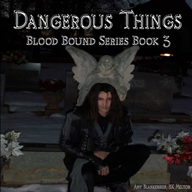 Dangerous Things: Blood Bound Book 3