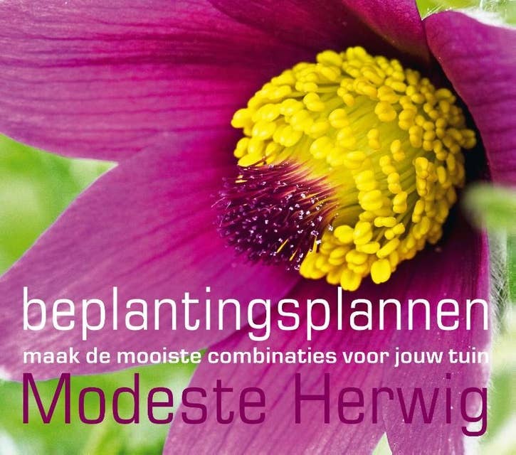 Beplantingsplannen: Maak de mooiste combinaties voor jouw tuin