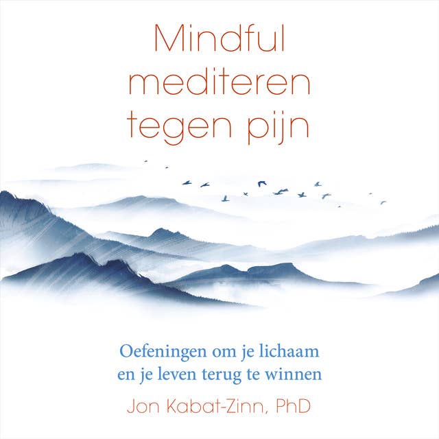 Mindful mediteren tegen pijn: Oefeningen om je lichaam en je leven terug te winnen