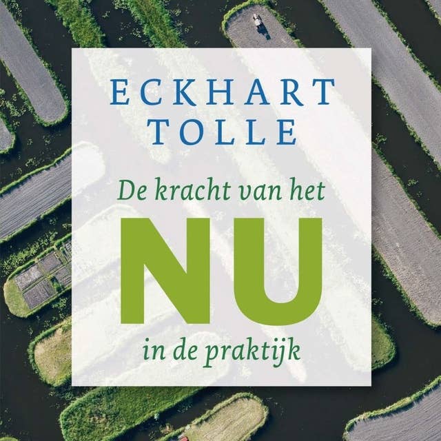 De kracht van het NU in de praktijk 