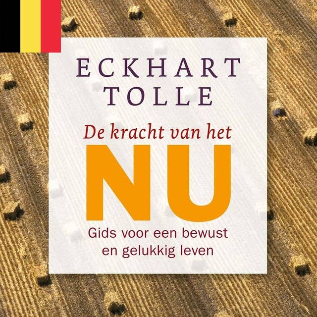 De kracht van het NU: Gids voor een bewust en gelukkig leven