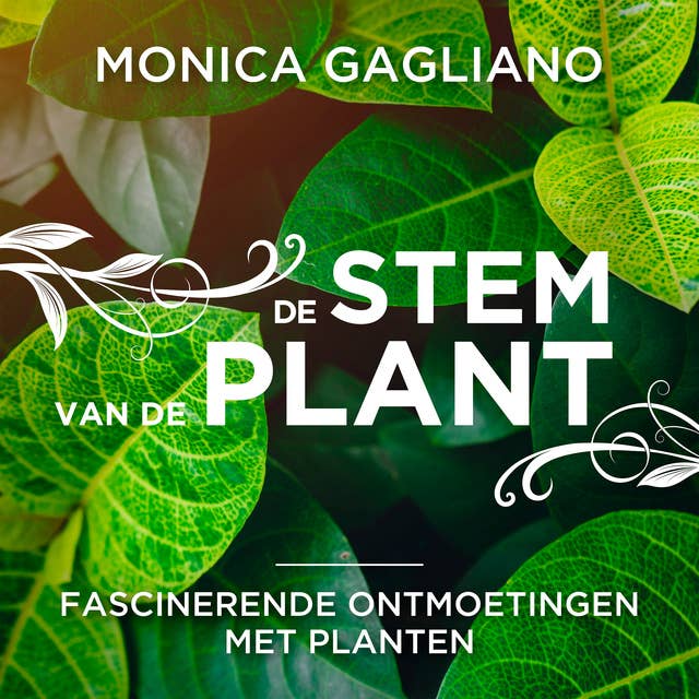 De stem van de plant: Fascinerende ontmoetingen met planten