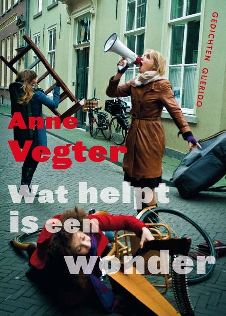 Wat helpt is een wonder: gedichten van de Dichter des Vaderlands 2013-2017