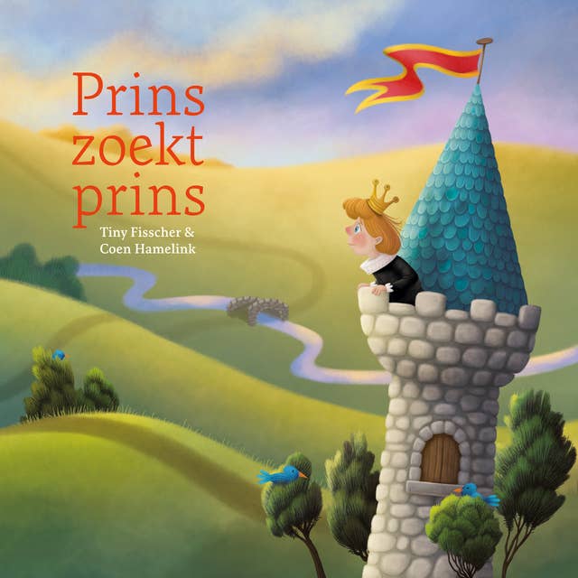 Cover for Prins zoekt prins