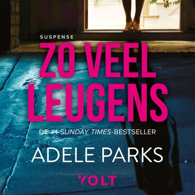 Cover for Zo veel leugens