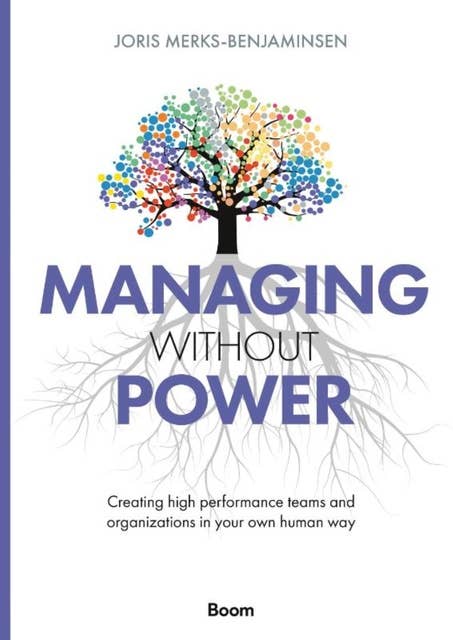 Managing Without Power: Creating high performance teams and organizations in your own human way