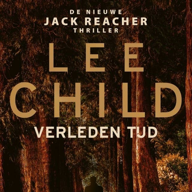 Verleden tijd: De nieuwe Jack Reacher thriller