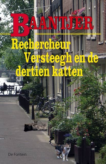 Cover for Rechercheur Versteegh en de dertien katten
