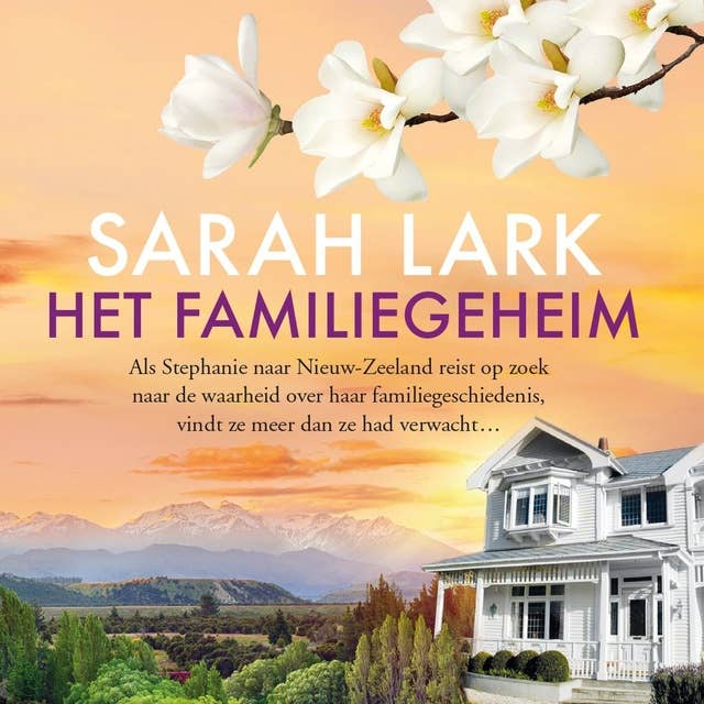 Cover for Het familiegeheim