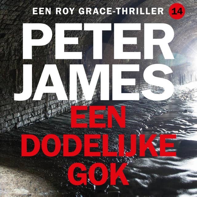 Een dodelijke gok