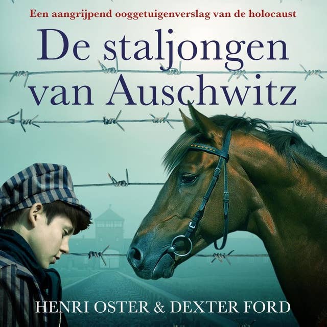 De staljongen van Auschwitz: Een aangrijpend ooggetuigenverslag van de holocaust by Henry Oster