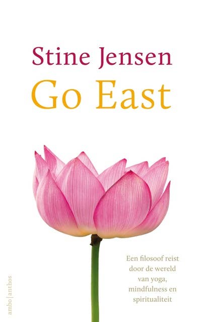 Go east!: een filosoof reist door de wereld van yoga, mindfulness en spiritualiteit