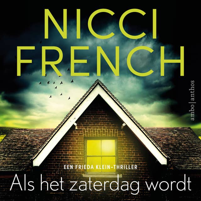 Als het zaterdag wordt: Een Frieda Klein thriller