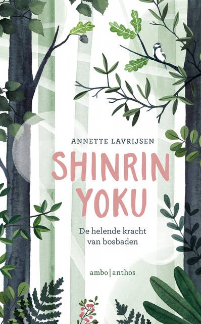 Shinrin yoku: De helende kracht van bosbaden