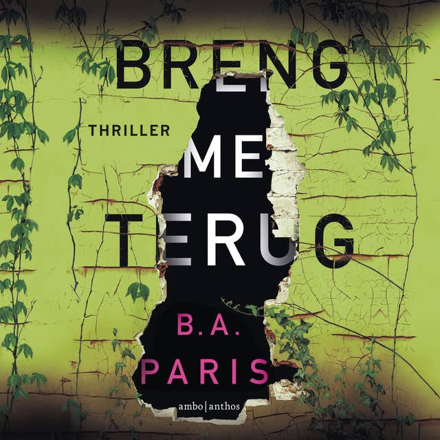 Breng me terug: 12 jaar geleden, 2 mensen gingen op reis, 1 keerde daarvan terug... by B.A. Paris