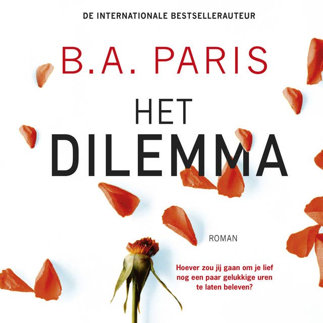 Cover for Het dilemma